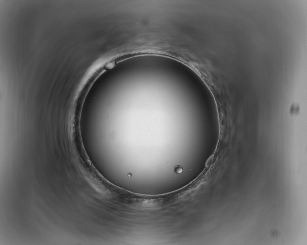 X0000102350056200808011213