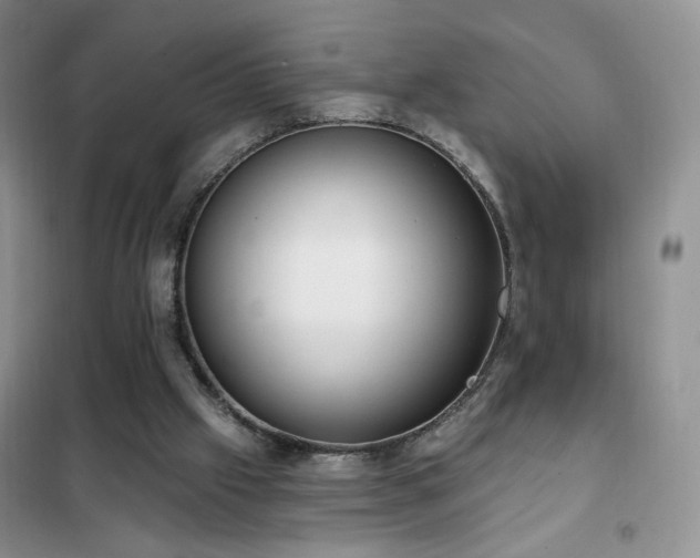 X0000102350057200808011213