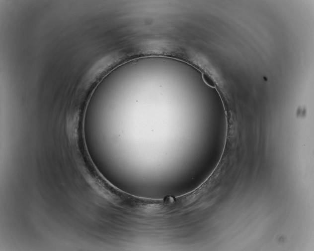 X0000102350058200808011213