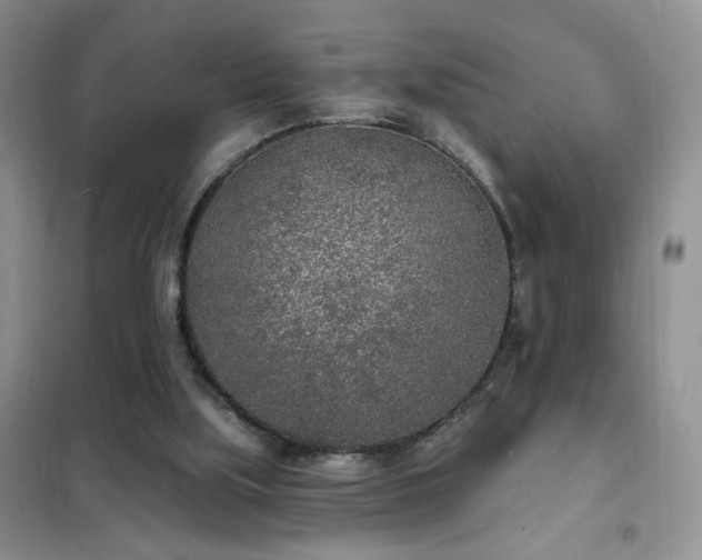 X0000102350059200808011213