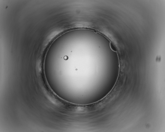 X0000102350060200808011213