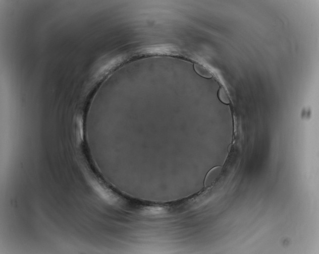 X0000102350061200808011213