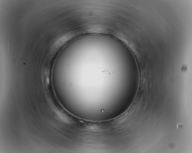 X0000102350062200808011213