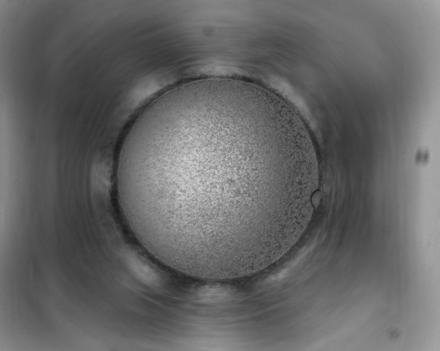 X0000102350063200808011213