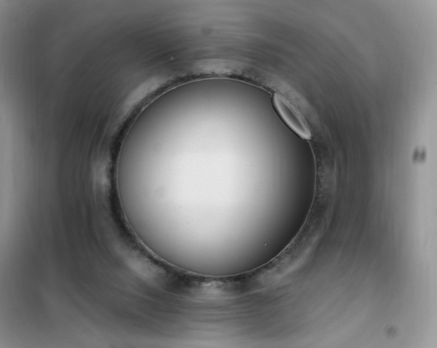 X0000102350064200808011213