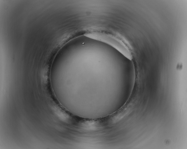 X0000102350065200808011213