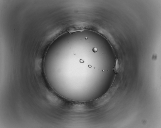 X0000102350066200808011213