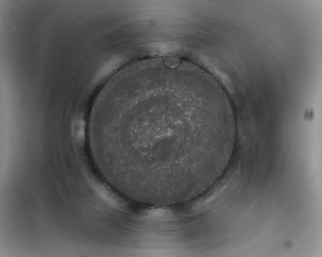 X0000102350067200808011213