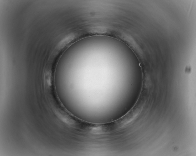 X0000102350068200808011213