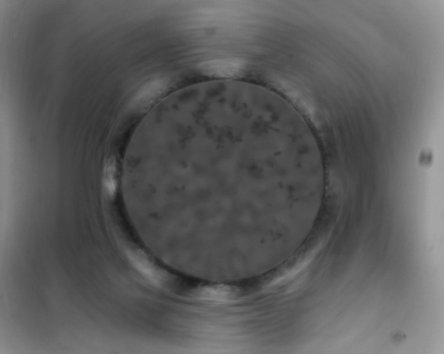 X0000102350069200808011213