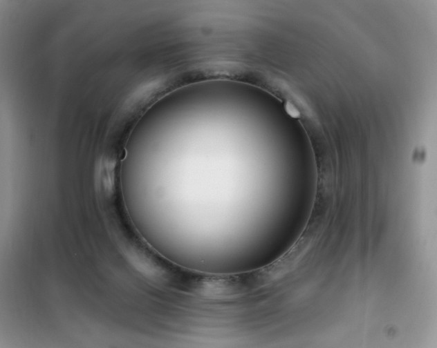 X0000102350070200808011213