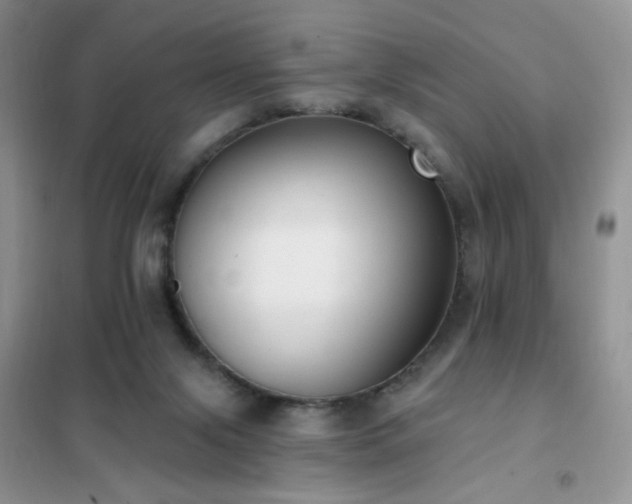 X0000102350071200808011213