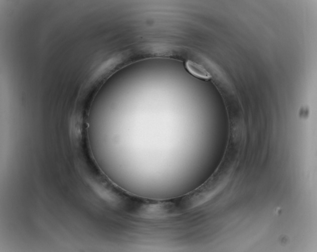 X0000102350072200808011213