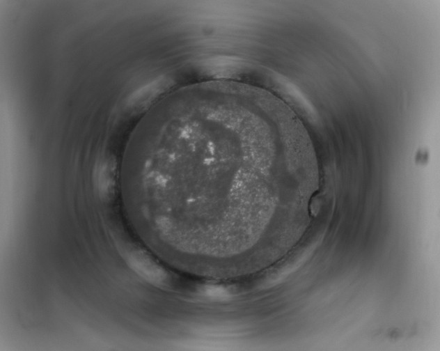 X0000102350073200808011213