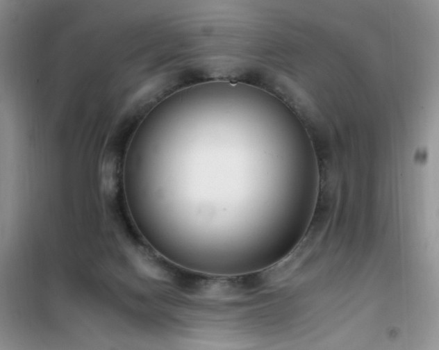 X0000102350074200808011213