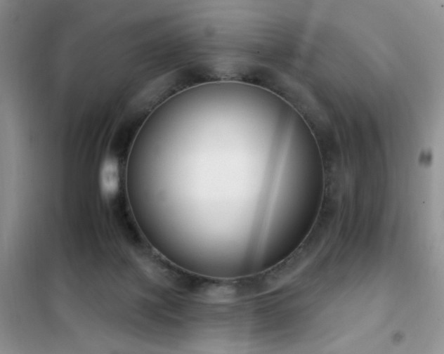 X0000102350075200808011213