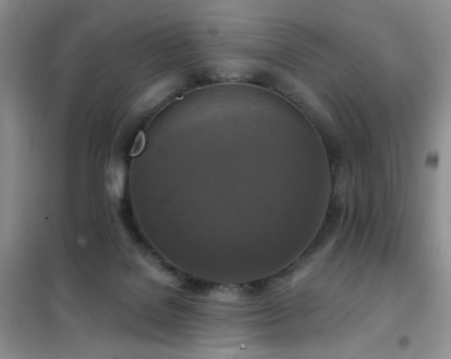 X0000102350076200808011213