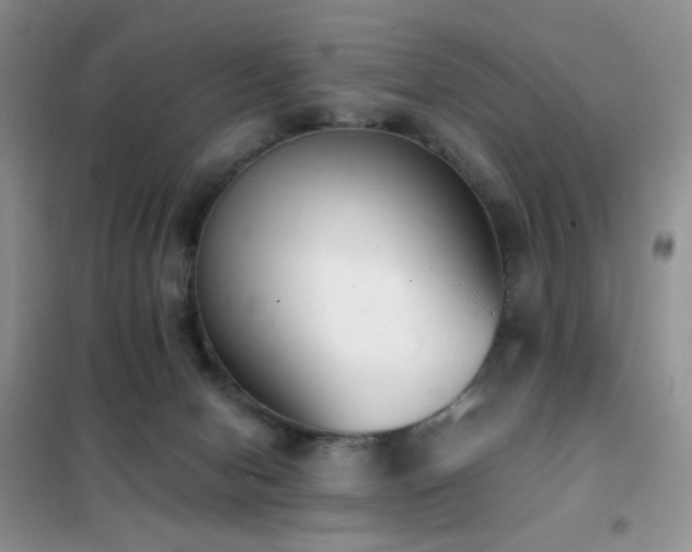 X0000102350078200808011213