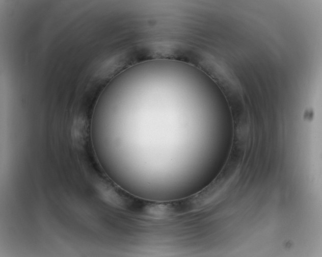 X0000102350079200808011213