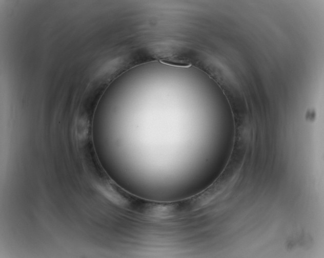 X0000102350081200808011213