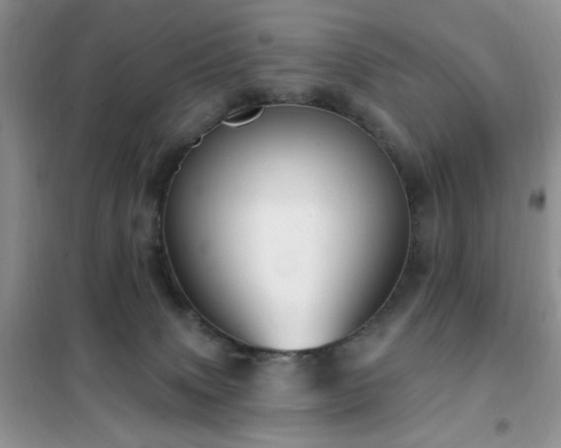 X0000102350083200808011213