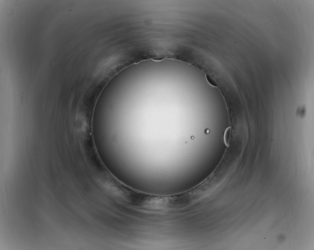 X0000102350084200808011213