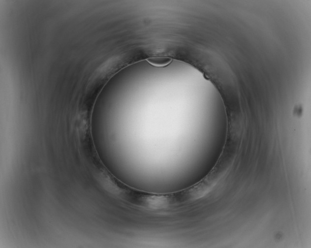 X0000102350085200808011214