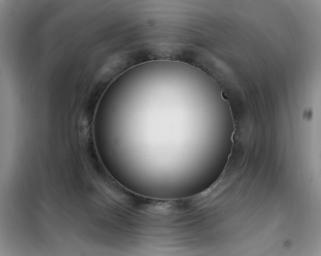 X0000102350086200808011214