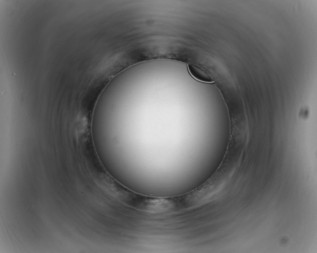 X0000102350087200808011214