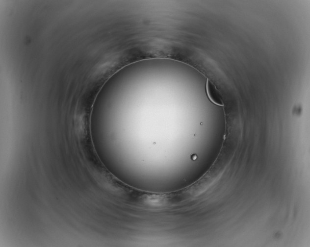 X0000102350088200808011214