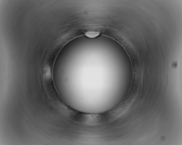 X0000102350089200808011214