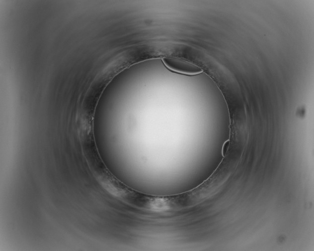 X0000102350091200808011214