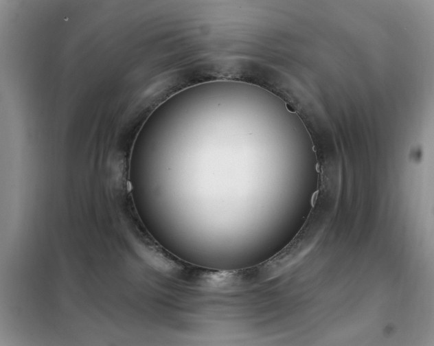 X0000102350092200808011214