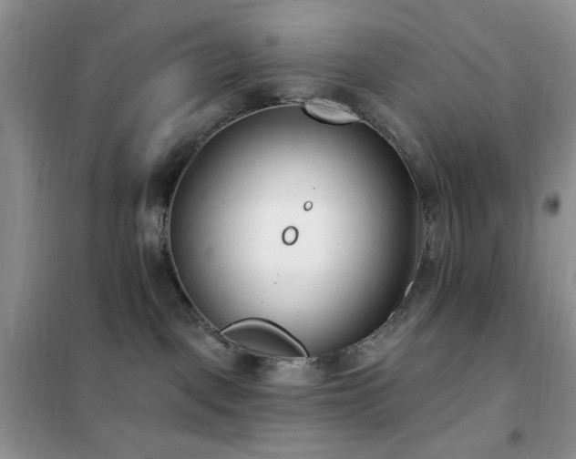 X0000102350093200808011214