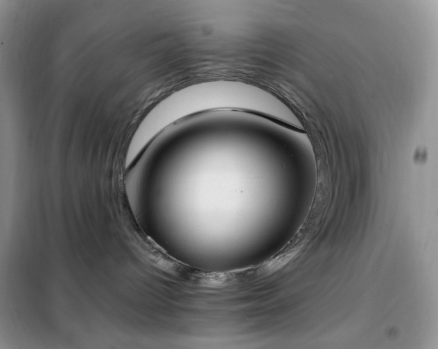 X0000102350096200808011214