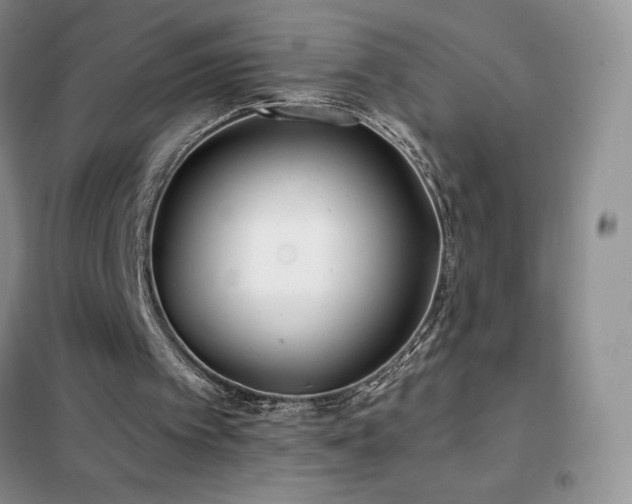 X0000102350097200808011213