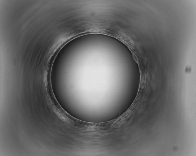 X0000102350098200808011213