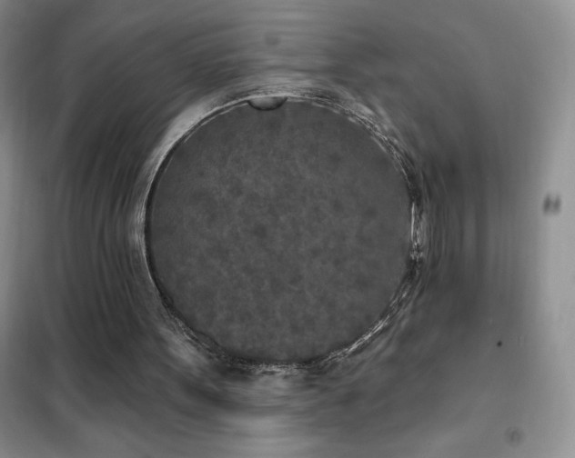 X0000102350099200808011213