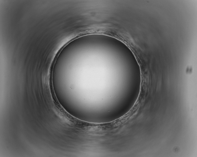 X0000102350100200808011213