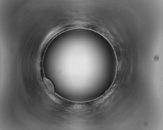 X0000102350101200808011213