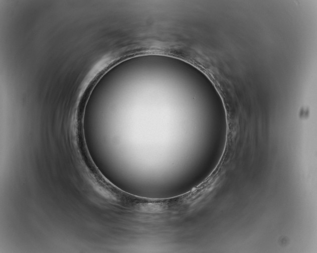 X0000102350102200808011213