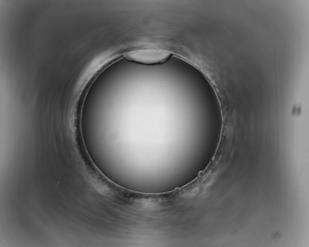 X0000102350103200808011213