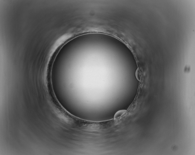 X0000102350104200808011213