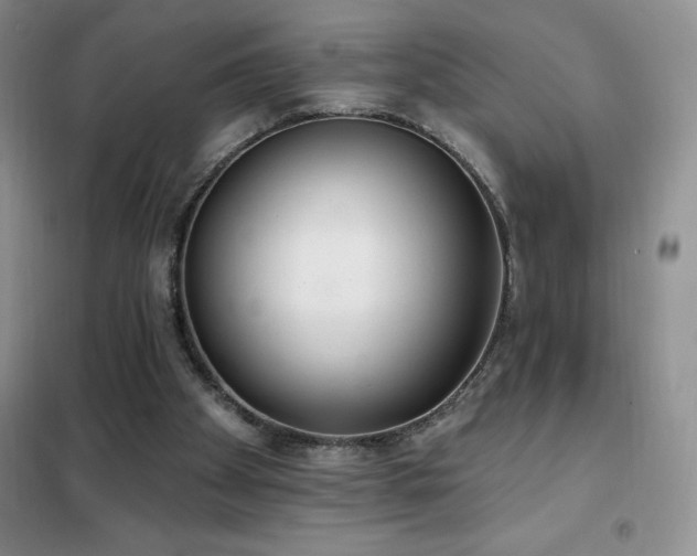 X0000102350105200808011213