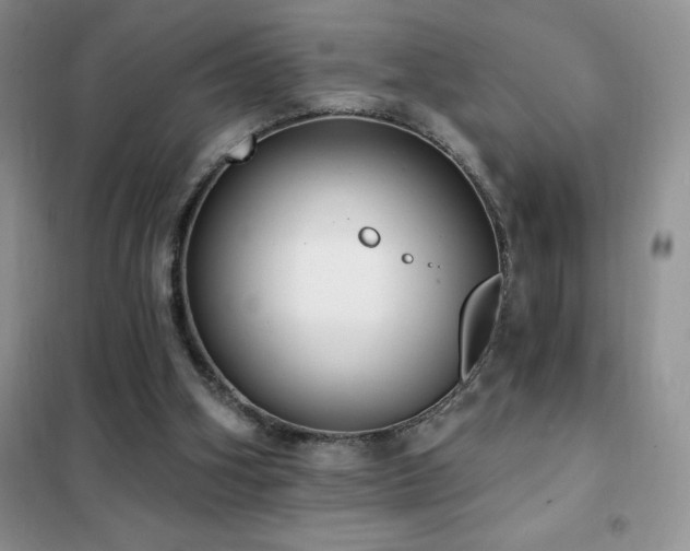 X0000102350106200808011213