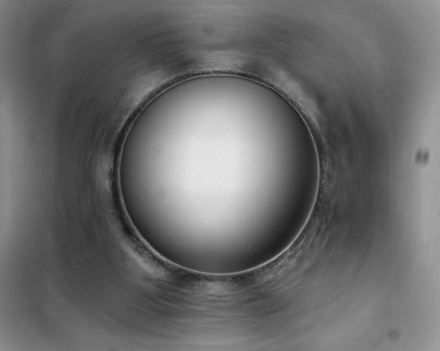 X0000102350107200808011213