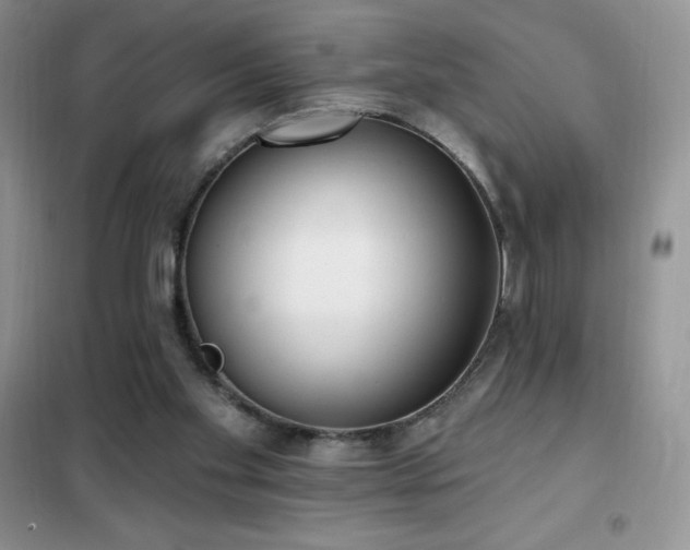 X0000102350109200808011213