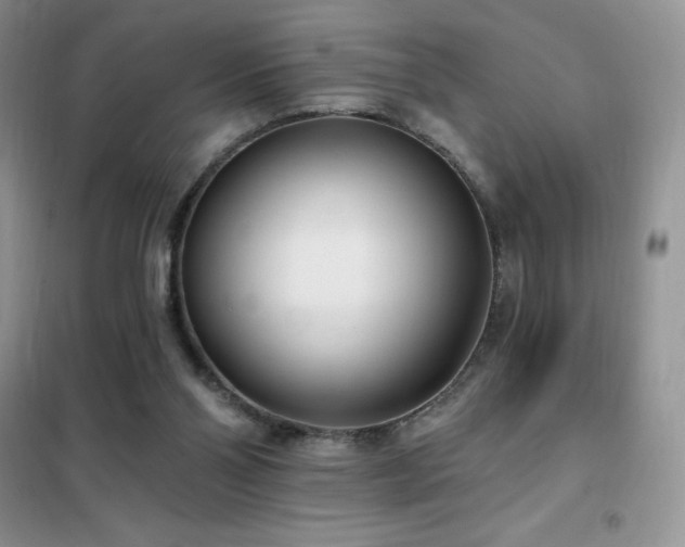 X0000102350110200808011213