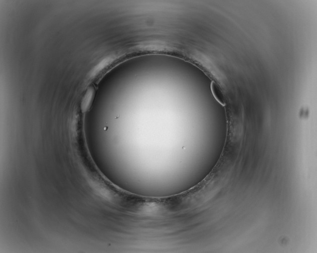 X0000102350111200808011213