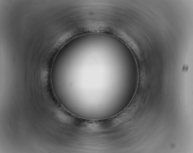 X0000102350113200808011213